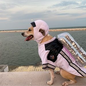 Space suit costume for dog